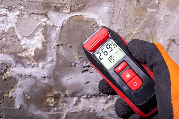 Best Emergency Mold Removal  in Bowmanstown, PA