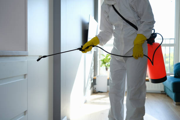 Best Attic Mold Removal  in Bowmanstown, PA